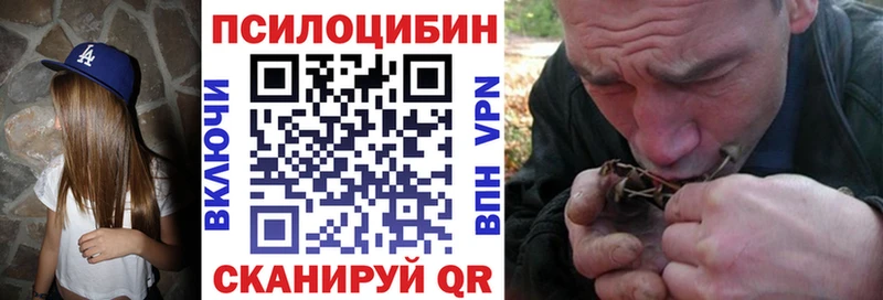 цена Городец Галлюциногенные грибы мицелий